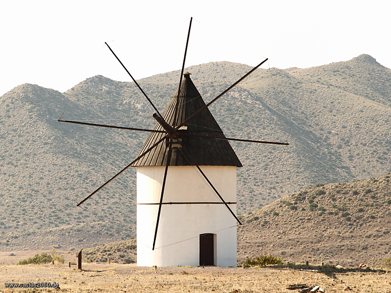 Moulin à vent chez San José