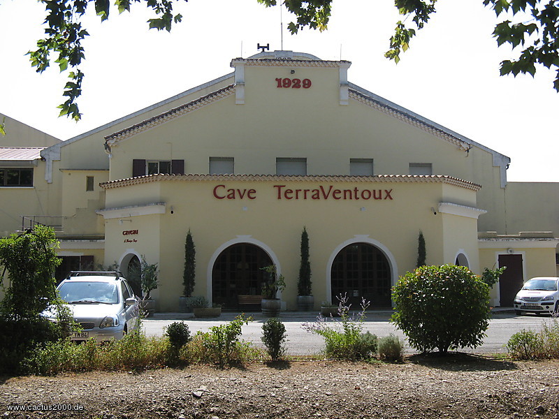Cave TerraVentoux