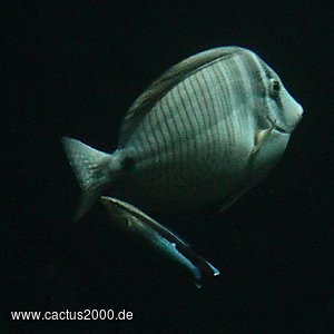 bild7